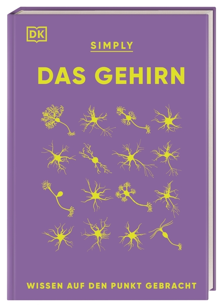 SIMPLY. Das Gehirn main product photo