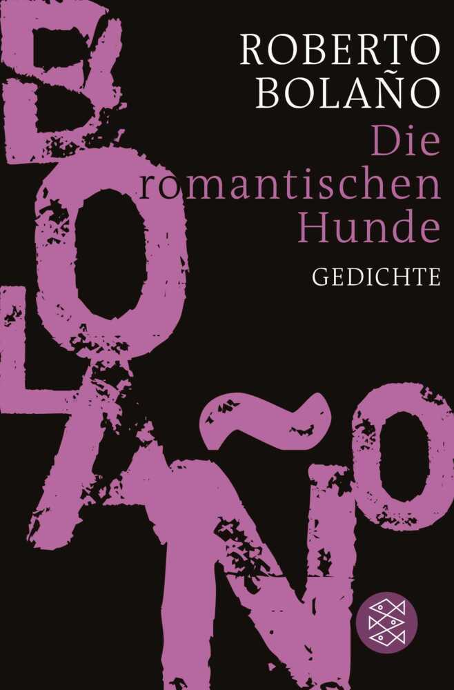 Die romantischen Hunde main product photo