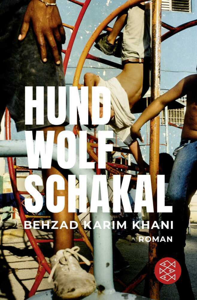 Hund, Wolf, Schakal main product photo