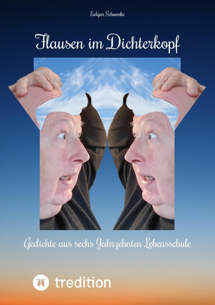 Flausen im Dichterkopf - Gedichte voller Sinn, auch in Form von Un-, Hinter- und Tiefsinn main product photo