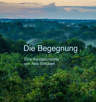 Die Begegnung