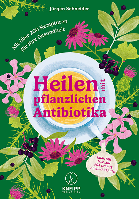 Heilen mit pflanzlichen Antibiotika main product photo