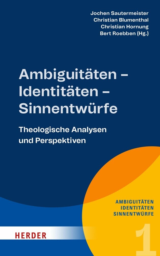 Ambiguitäten - Identitäten - Sinnentwürfe main product photo