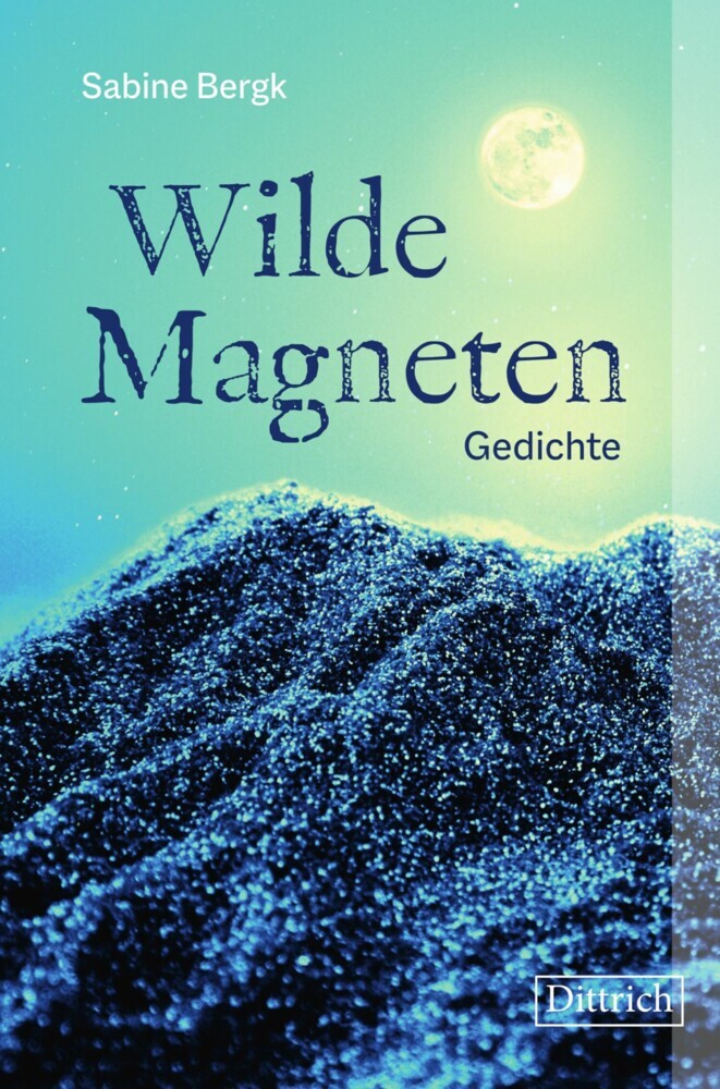 Wilde Magneten main product photo