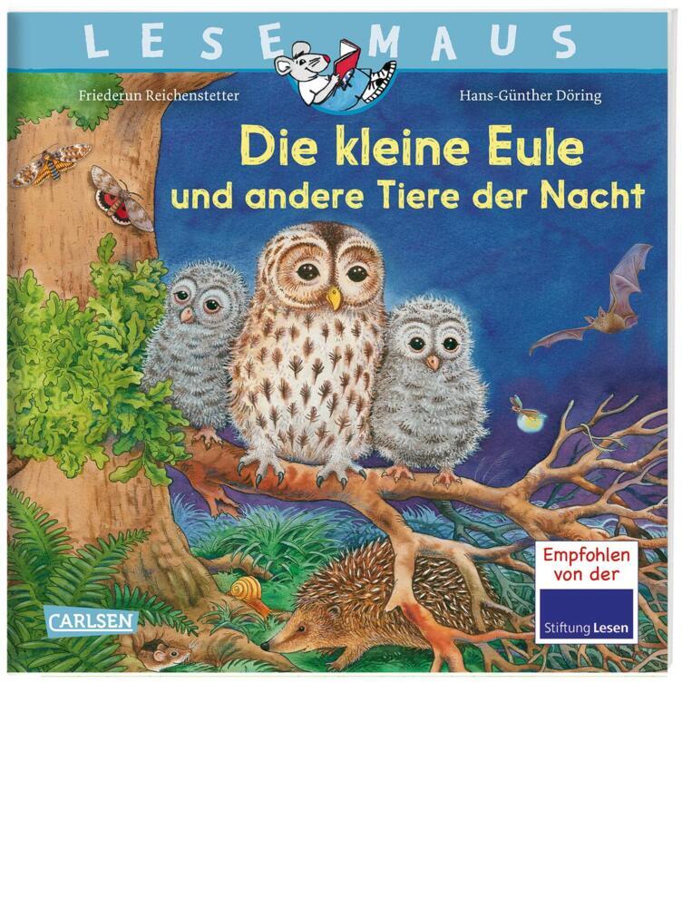 LESEMAUS - Die kleine Eule und andere Tiere der Nacht main product photo