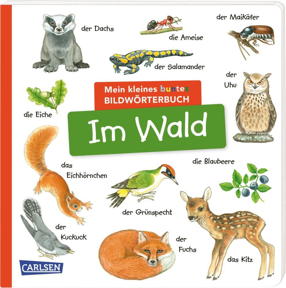 Mein kleines buntes Bildwörterbuch: Im Wald main product photo