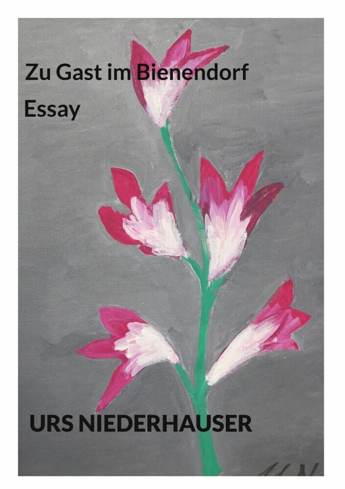 Zu Gast im Bienendorf main product photo