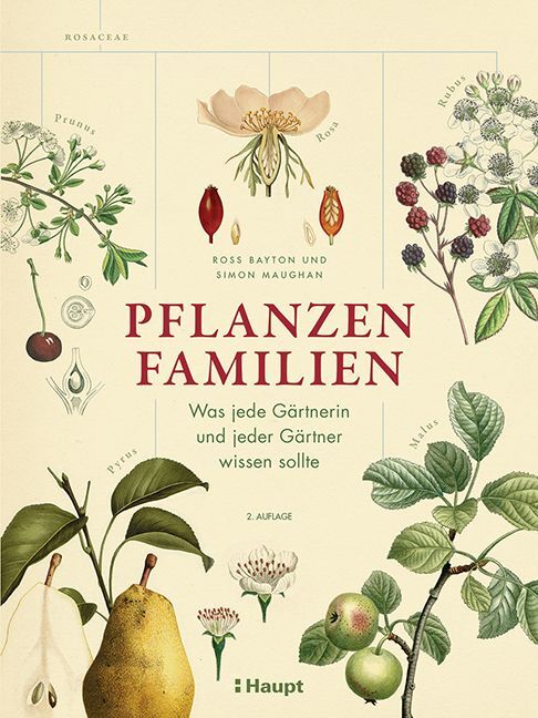 Pflanzenfamilien main product photo