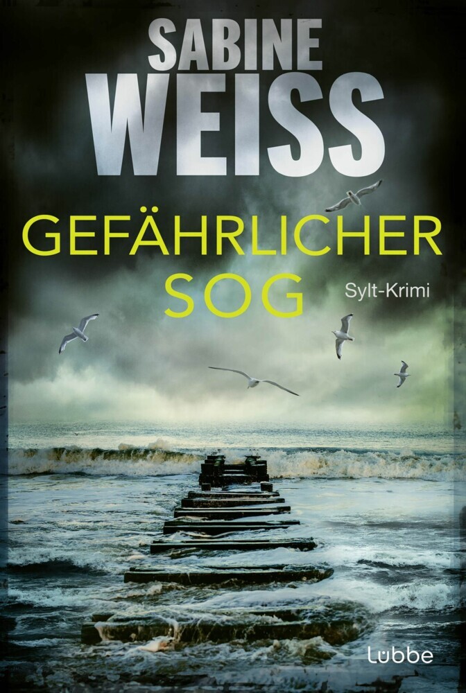 Gefährlicher Sog main product photo