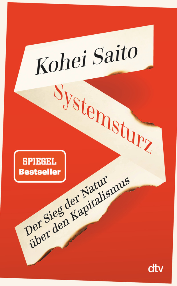 Systemsturz main product photo