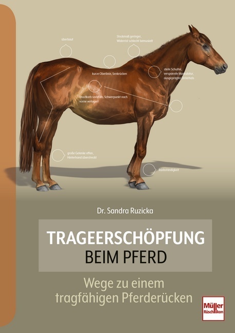 Trageerschöpfung beim Pferd main product photo