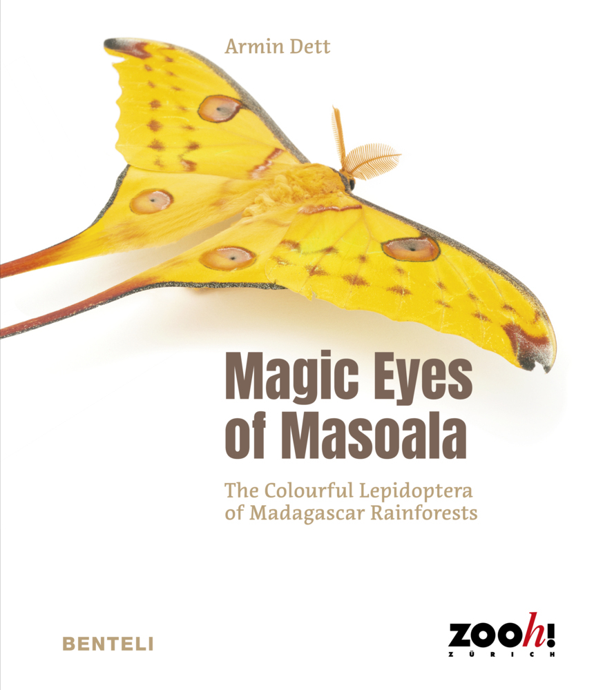 Magic Eyes of Masoala main product photo