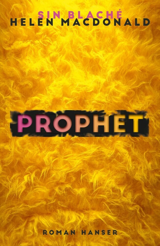 Prophet main product photo