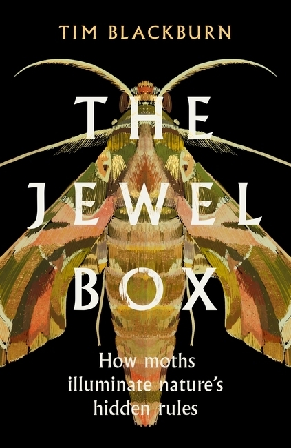 The Jewel Box main product photo