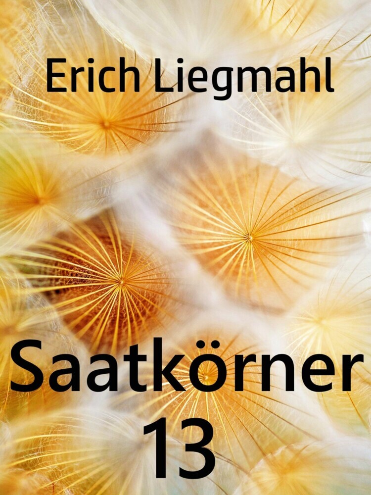 Saatkörner 13 main product photo