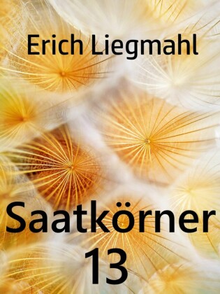 Saatkörner 13