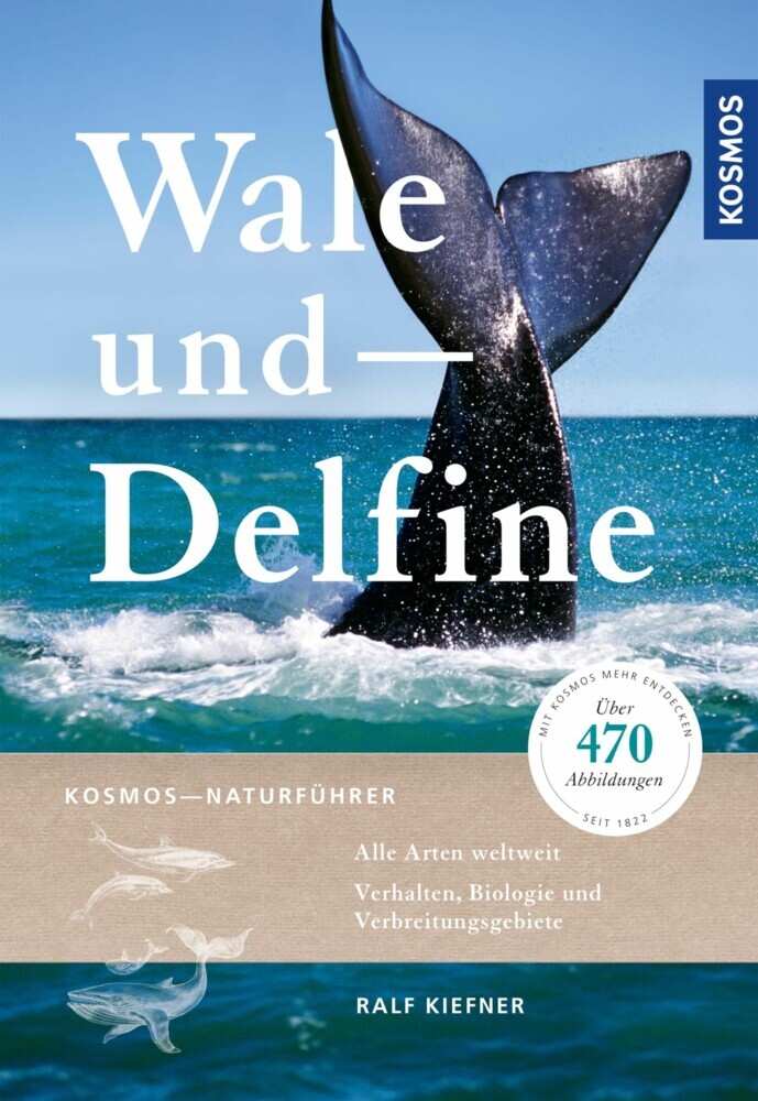 Wale und Delfine main product photo