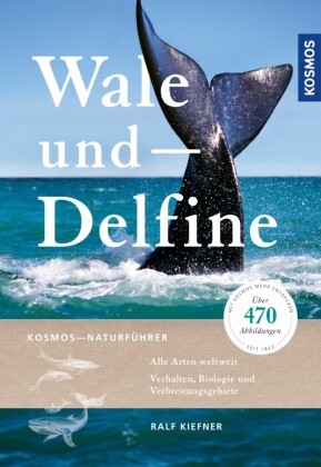 Wale und Delfine