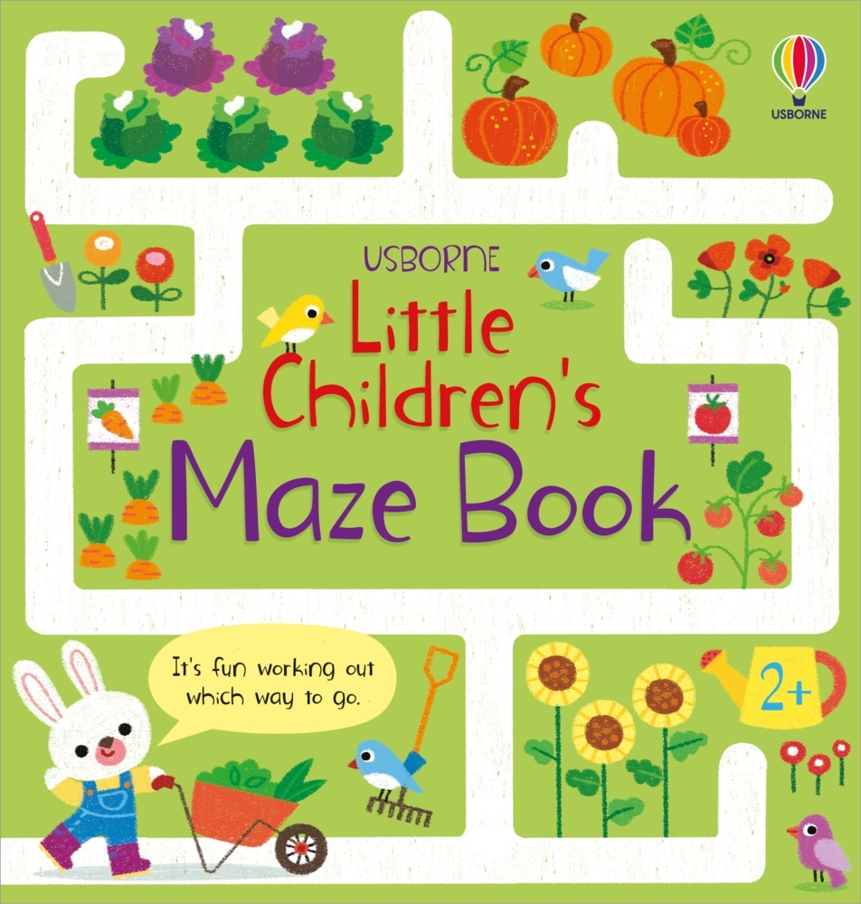 Little Children's Maze Book main product photo