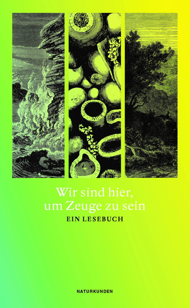 Wir sind hier, um Zeuge zu sein main product photo
