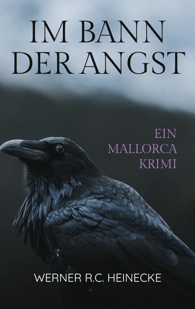 Im Bann der Angst main product photo