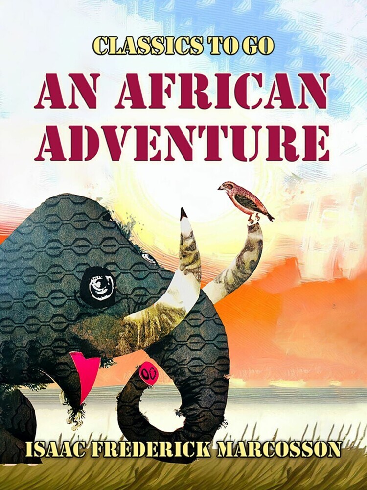An African Adventure main product photo