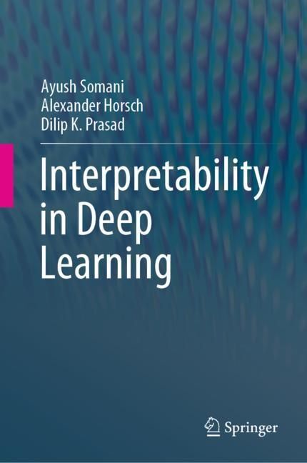 Interpretability in Deep Learning main product photo