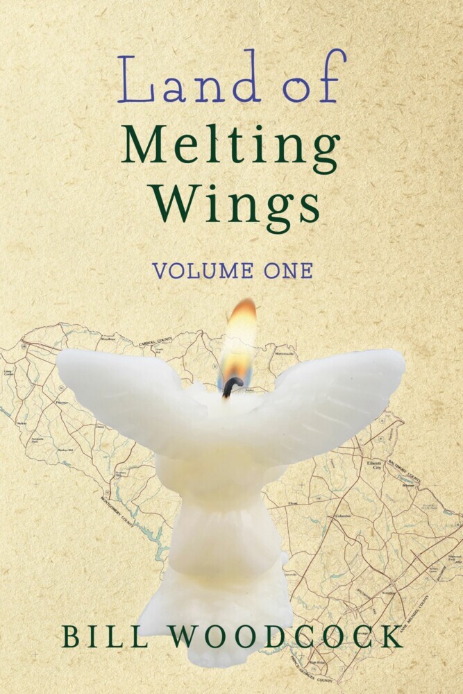 The Land of Melting Wings main product photo