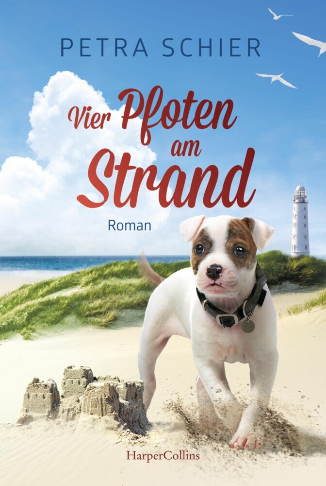 Vier Pfoten am Strand main product photo