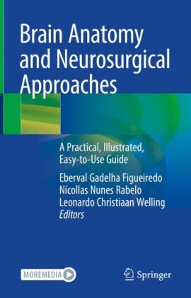Brain Anatomy and Neurosurgical Approaches