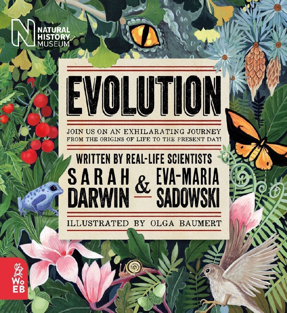 Evolution main product photo