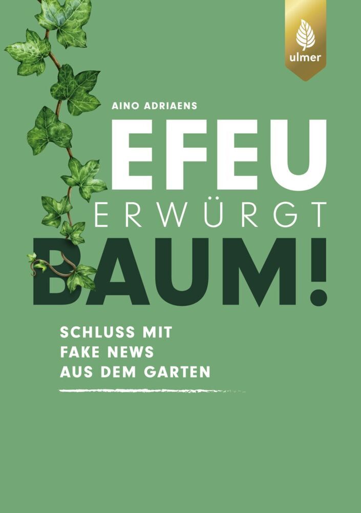 Efeu erwürgt Baum main product photo