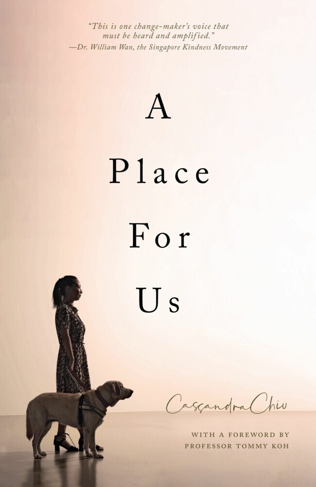 A Place For Us main product photo