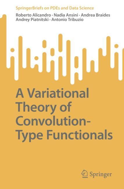 A Variational Theory of Convolution-Type Functionals main product photo