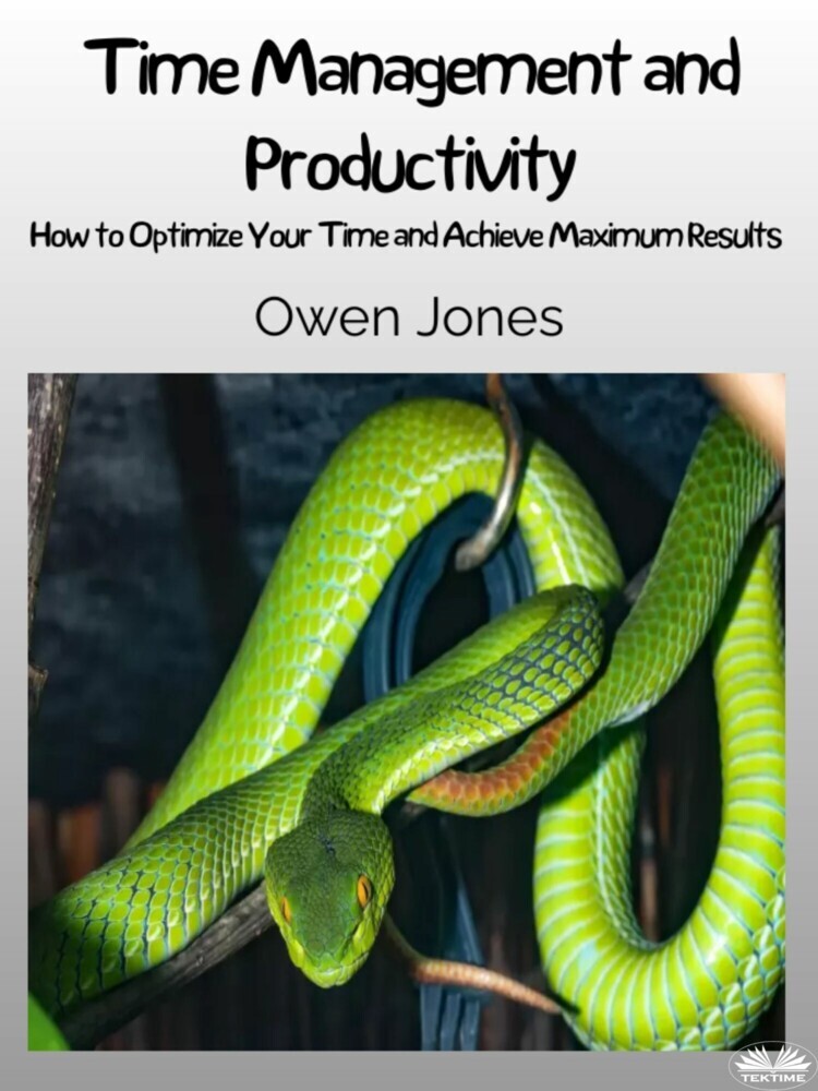 Time Management And Productivity main product photo