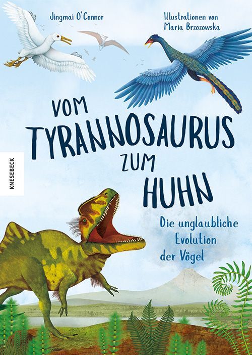 Vom Tyrannosaurus zum Huhn main product photo