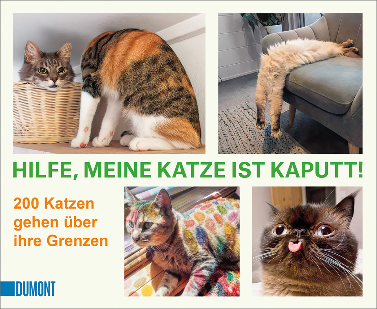 Hilfe, meine Katze ist kaputt main product photo