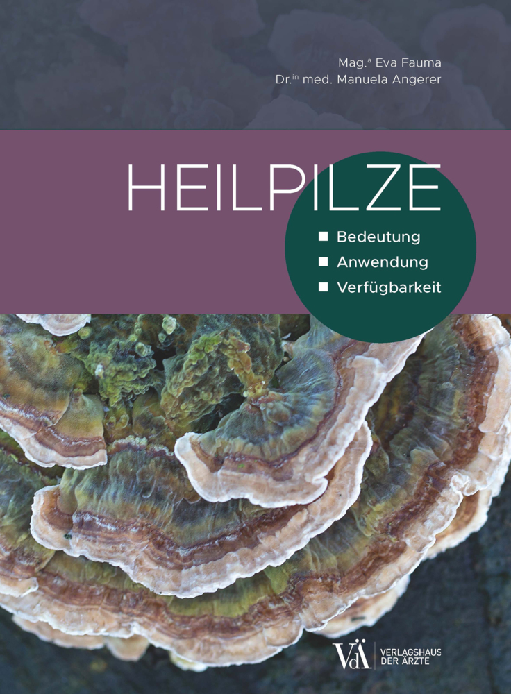 Heilpilze main product photo