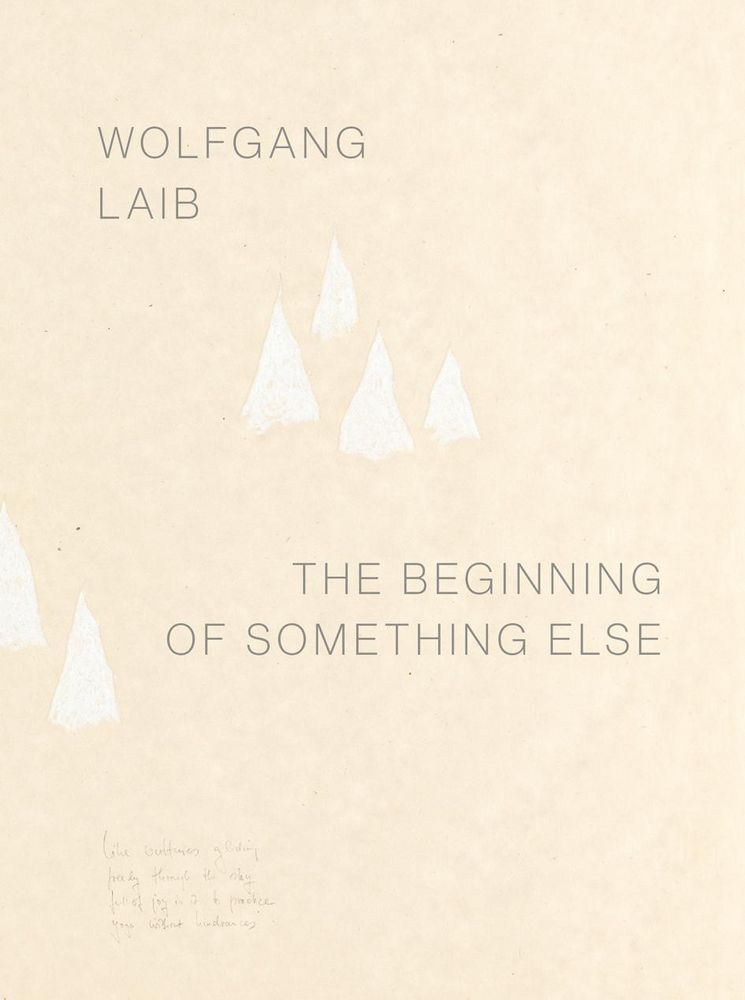 Wolfgang Laib main product photo