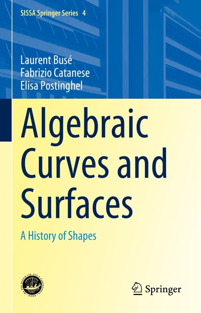 Algebraic Curves and Surfaces main product photo
