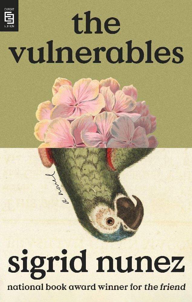 The Vulnerables main product photo