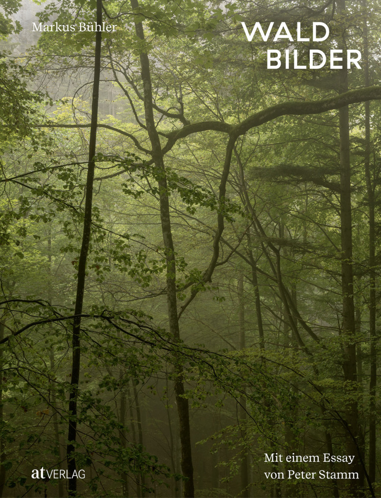 Waldbilder main product photo