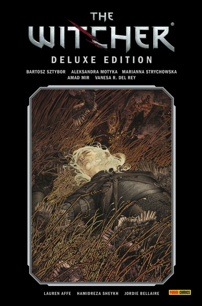 The Witcher Deluxe-Edition, Band 2 main product photo