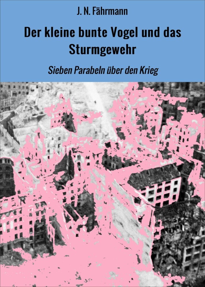Der kleine bunte Vogel und das Sturmgewehr main product photo