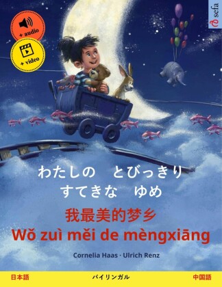 My Most Beautiful Dream (Japanese - Chinese)