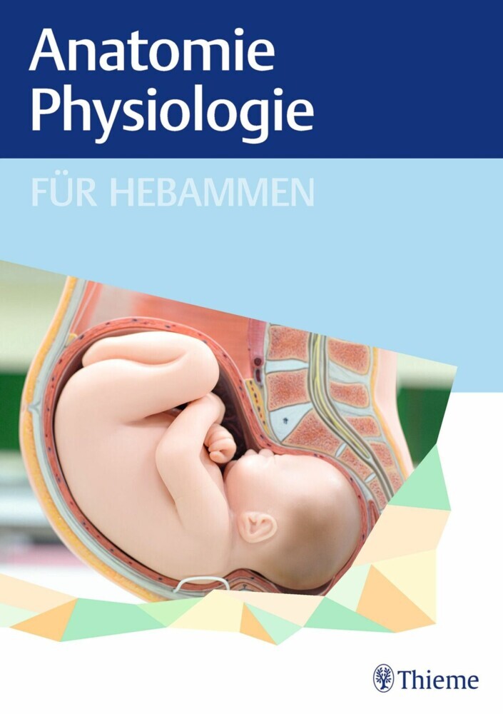 Anatomie und Physiologie für Hebammen main product photo