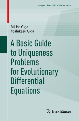 A Basic Guide to Uniqueness Problems for Evolutionary Differen...