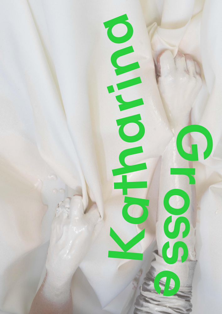 Katharina Grosse main product photo