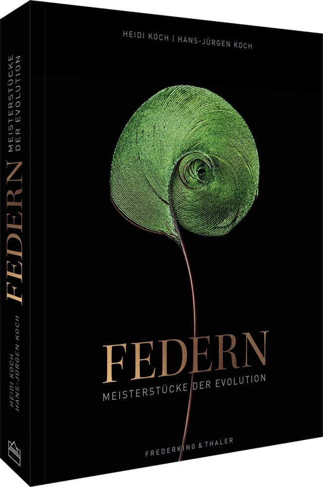 Federn main product photo