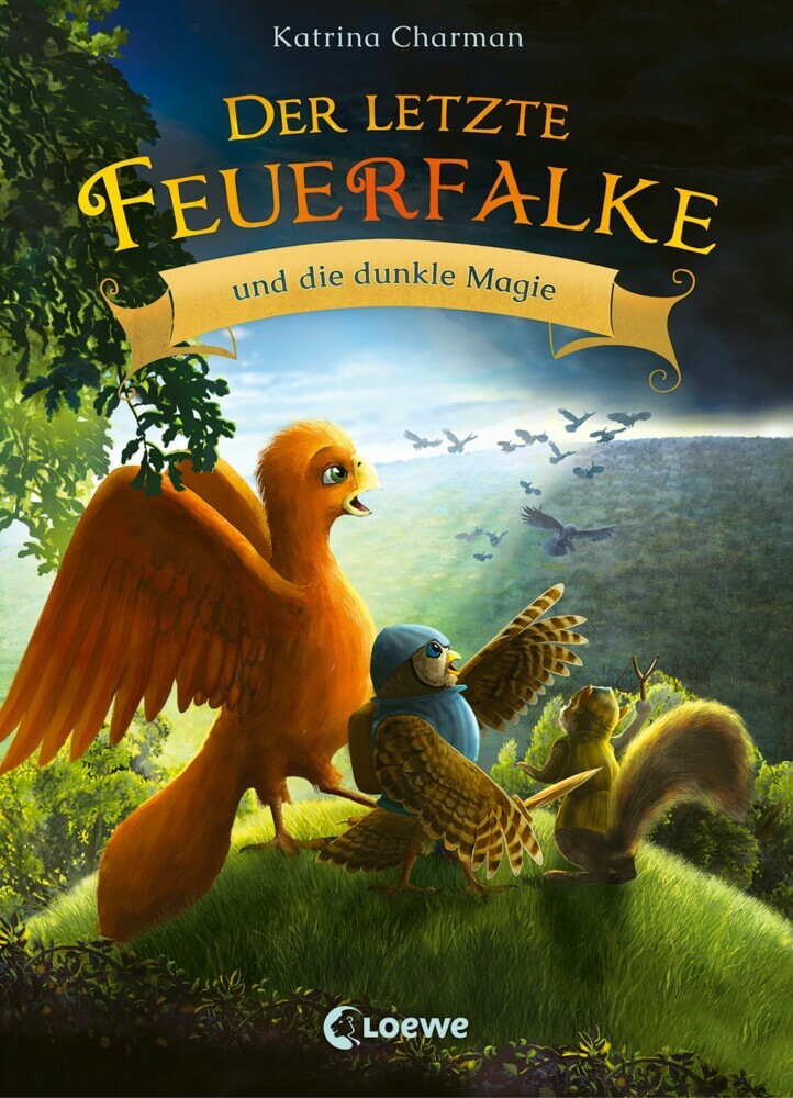 Der letzte Feuerfalke und die dunkle Magie (Band 6) main product photo